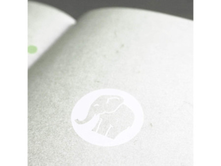 Papier spécial 'peau d'éléphant' blanc