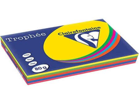 Clairefontaine Papier universel Trophée, A4, assorti intense