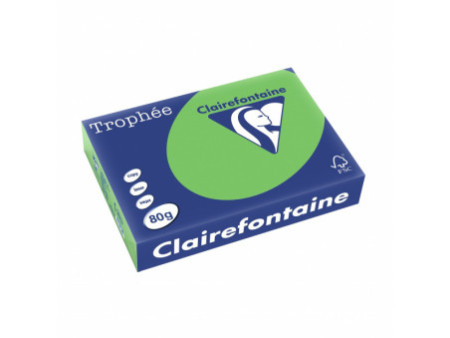 Clairefontaine Papier universel Trophée, A4, vert menthe
