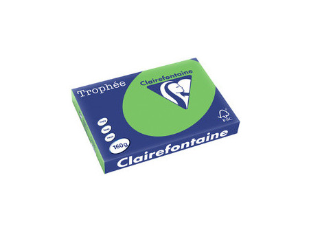 Clairefontaine Papier universel Trophée A3, vert nature