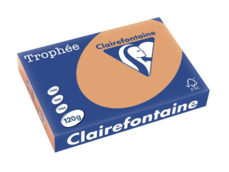 Clairefontaine Papier universel Trophée A4, camel