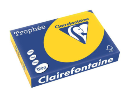 Clairefontaine Papier universel Trophée A4, bouton d'or