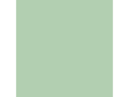 Clairefontaine Papier universel Trophée A4, vert