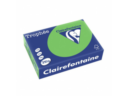Clairefontaine Papier universel Trophée, A4, vert menthe