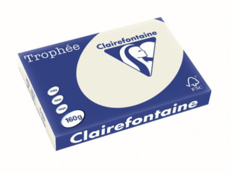 Clairefontaine Papier universel Trophée, A3, gris