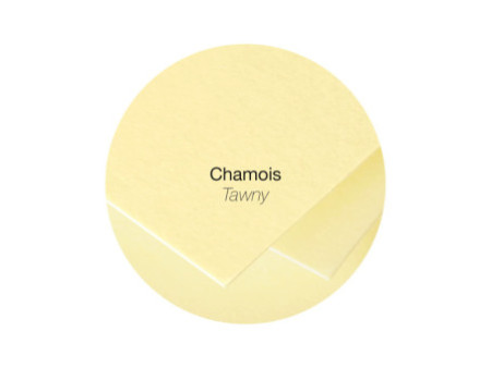 Pollen by Clairefontaine Carte 82 x 128 mm, chamois