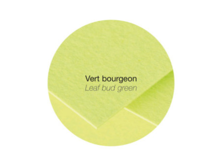 Pollen by Clairefontaine Papier A4, vert bourgeon
