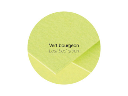 Pollen by Clairefontaine Enveloppes C6, vert bourgeon