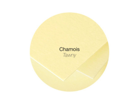 Pollen by Clairefontaine Enveloppes DL, chamois