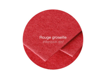 Pollen by Clairefontaine Enveloppes 90 x 140 mm, groseille
