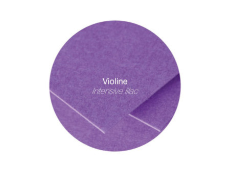 Pollen by Clairefontaine Carte double DL, violine