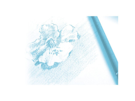 Clairefontaine Bloc papier dessin 'à Grain', A5, 180 g/m2