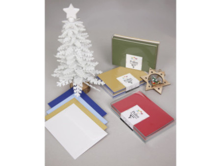 Pollen by Clairefontaine Set de correspondance, Polaire
