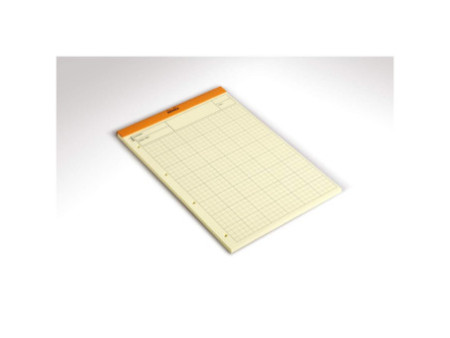 RHODIA Bloc Audit agrafé, 210 x 318 mm, 80 feuilles, orange