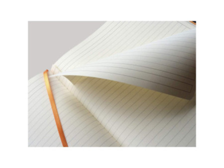 RHODIA Carnet de notes RHODIARAMA, A4+, ligné, violet