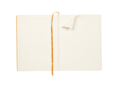 RHODIA Carnet de notes RHODIARAMA, A4+, ligné, orange