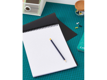 RHODIA Bloc spiralé No. 18, format A4, quadrillé 5x5, noir