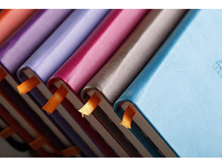 RHODIA Carnet rigide RHODIARAMA, A5, ligné, violet