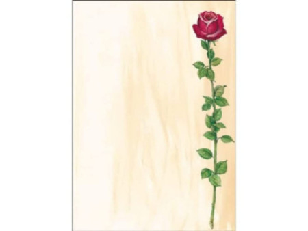 sigel Papier à motif, A4, 90 g/m2, motif 'Rose Bloom'