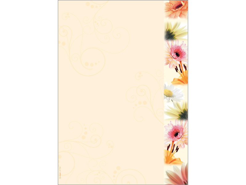 sigel Papier à motif, A4, 90 g/m2, motif 'Flowerstyle'