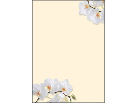 sigel Papier à motif, A4, 90 g/m2, motif 'White Orchid'