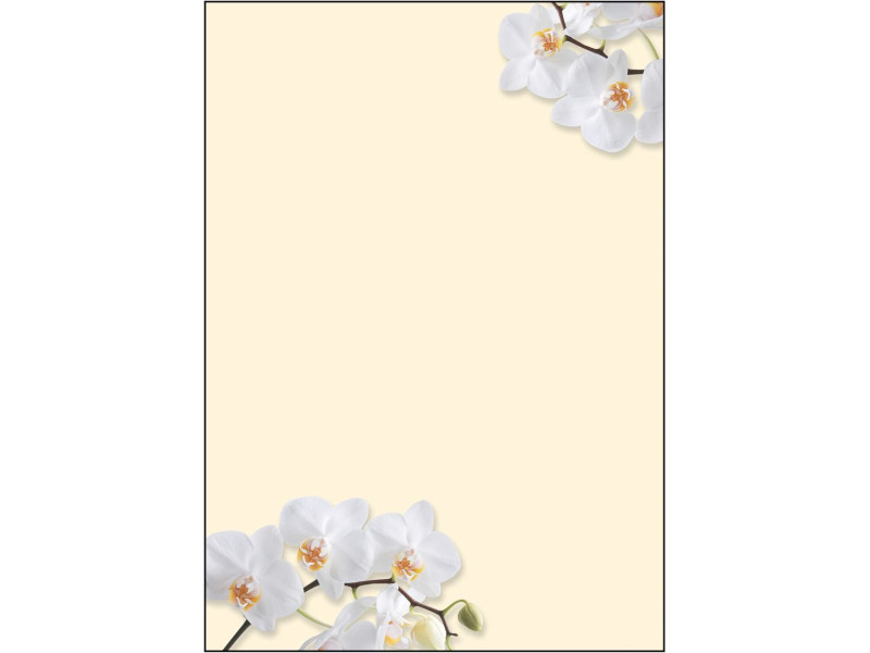 sigel Papier à motif, A4, 90 g/m2, motif 'White Orchid'