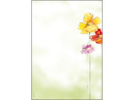 sigel Papier à motif, A4, 90 g/m2, motif 'Spring Flowers'
