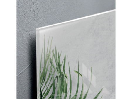 sigel Tableau magnétique en verre artverum Botanic, (L)910