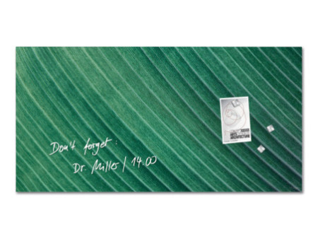 sigel Tableau magnétique en verre Artverum Design Palm Leaf