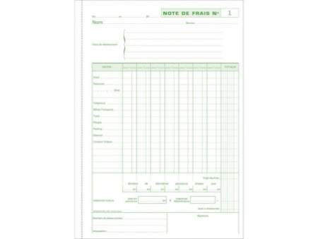 EXACOMPTA Manifold 'Notes de Frais', 297 x 210 mm vertical