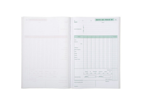 EXACOMPTA Manifold 'Notes de Frais', 297 x 210 mm vertical