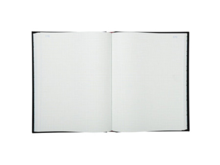 EXACOMPTA Registre Quadrillé 5x5, 320 x 250 mm vertical