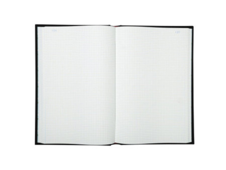 EXACOMPTA Registre Quadrillé 5x5, 360 x 225 mm vertical