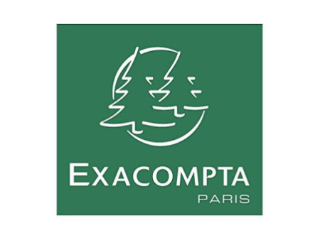 EXACOMPTA Chemise à élastiques Maxi Capacity, A4, tilleul