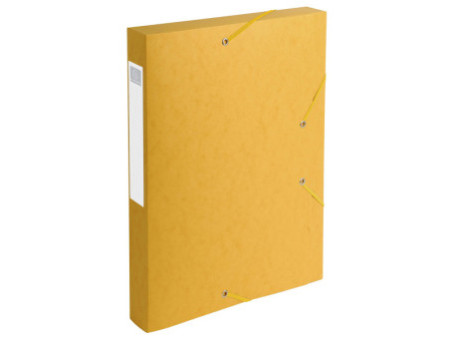 EXACOMPTA Boîte de classement Cartobox, A4, 40 mm, jaune