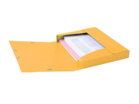 EXACOMPTA Boîte de classement Cartobox, A4, 40 mm, jaune