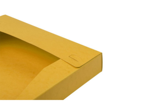 EXACOMPTA Boîte de classement Cartobox, A4, 40 mm, jaune