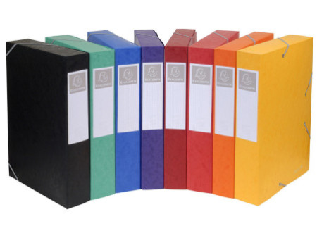 EXACOMPTA Boîte de classement Cartobox, A4, 50 mm, assorti