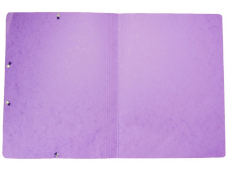 EXACOMPTA Chemise à élastiques, A4, carton, violet