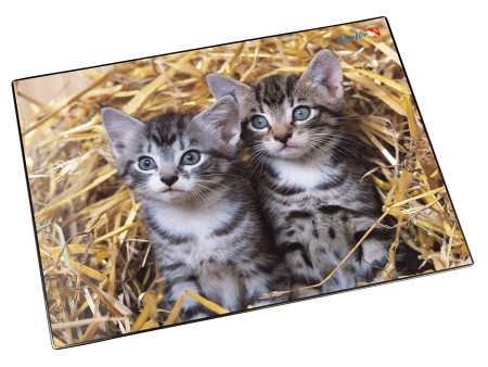 Läufer Sous-main 'chats dans les pailles', 400 x 530 mm