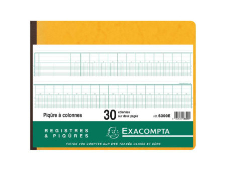 EXACOMPTA Piqûre à colonnes, 30 colonnes, 31 lignes