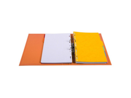 EXACOMPTA Classeur à levier PVC Premium, A4, 50 mm, assorti