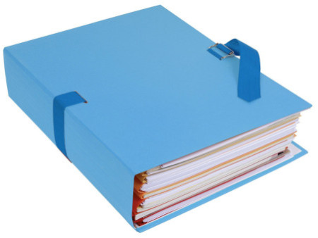 EXACOMPTA Chemise à dos extensible, A4, carton, bleu clair
