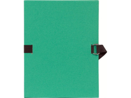 EXACOMPTA Chemise à dos extensible, A4, carton, vert clair