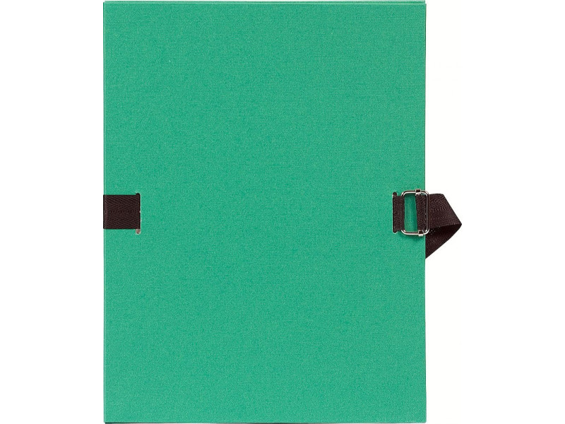 EXACOMPTA Chemise à dos extensible, A4, carton, vert clair