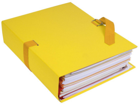 EXACOMPTA Chemise à dos extensible, A4, carton, jaune