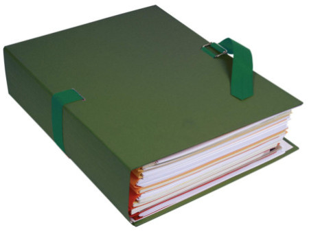 EXACOMPTA Chemise à dos extensible, A4, carton, vert foncé