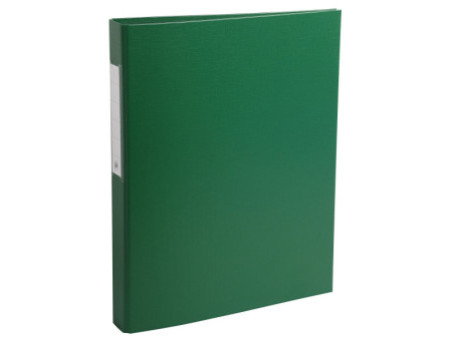 EXACOMPTA Classeur à anneaux, PP, 2 anneaux, A4, vert