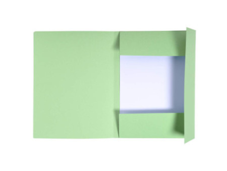 EXACOMPTA Chemise imprimée Foldyne 300, A4, vert pastel