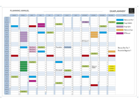 EXACOMPTA Planning annuel Exaplanner, (L)900 x (H)590 mm